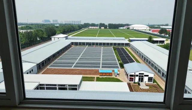 教育行业定制化学习路径的实践与探索